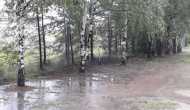IMG-20200629-WA0005