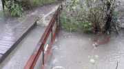 IMG-20200629-WA0006