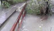 IMG-20200629-WA0006