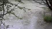 IMG-20200629-WA0007