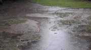 IMG-20200629-WA0008