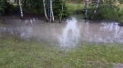 IMG_20200629_100746_6