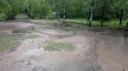 IMG_20200629_100849_0