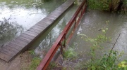 IMG_20200629_100946_4