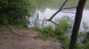 IMG_20200629_101017_4