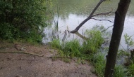 IMG_20200629_101017_4