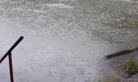 IMG-20200629-WA0003