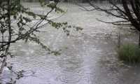 IMG-20200629-WA0007