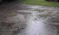 IMG-20200629-WA0008