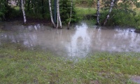 IMG_20200629_100746_6