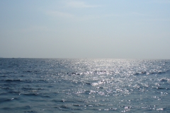 Chor118