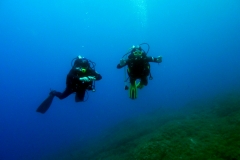 Chor275