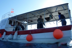 P1100569