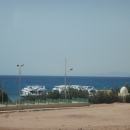 DSCN6812