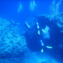 DSCN6827