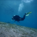 DSCN6892