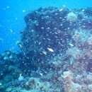 DSCN6942
