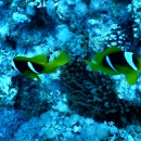 DSCN6953