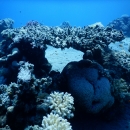 DSCN7029