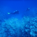 DSCN7031