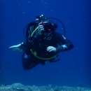 zDSCN6818
