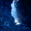 zDSCN6846