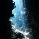 zDSCN6848