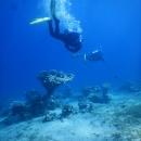zDSCN7026