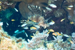 DSCN6943