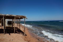 DSCN7011