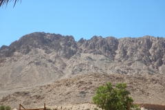 DSCN7017