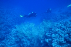 DSCN7031