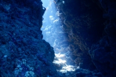 zDSCN6846
