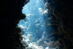 zDSCN6848