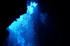 zDSCN6905