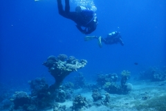 zDSCN7026