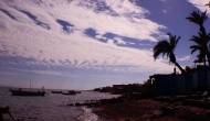DSCN0380