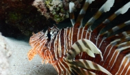 DSCN0438