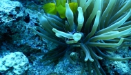 DSCN0479