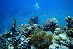 DSCN0549