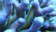 DSCN0566