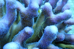 DSCN0566