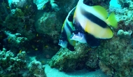 DSCN0576