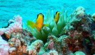 DSCN0577