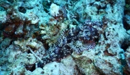 DSCN0585