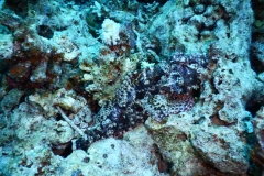 DSCN0585