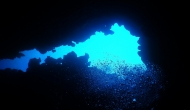 DSCN0610