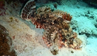 DSCN0634