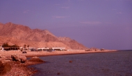 DSCN0642