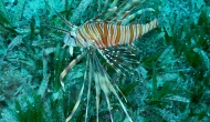 DSCN0672
